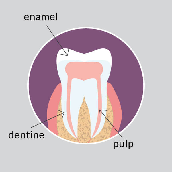 Normal Tooth